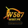 W567 Game